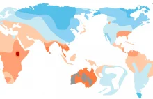 Średnia objętość mózgu w różnych częściach świata