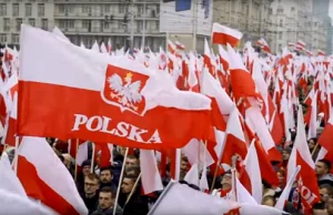 Kiedy państwo polskie zacznie pozywać za kłamstwa, że 11.11 ulicami...