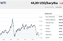 Goldman: ropa może spaść do 20 USD