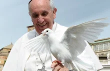 Każdy może złożyć życzenia papieżowi z okazji 80. urodzin