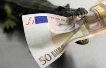 Lokalne waluty coraz popularniejsze w Hiszpanii. Co z euro?