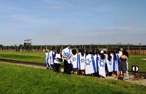 Czy PiS rzeczywiście postawił się żydom?