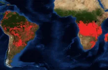 Południowa Afryka w ogniu. Nie tylko Amazonia i Arktyka płoną