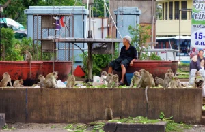 Lopburi, Miasto Małp – Tajlandia - Po 2 Stronie Świata - Blog Podróżniczy