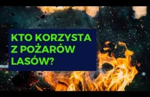 Kto korzysta z pożarów lasów? [Zlewka Totalna