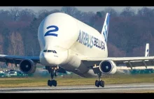 Paskudny Airbus Beluga na lotnisku Hamburg-Finkenwerder