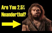 Czy jesteś spokrewniony z Neandertalczykiem?