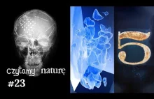 Czytamy naturę #23. Synteza mowy prosto z mózgu-Ku ciemnej materii-Wielka Piątka