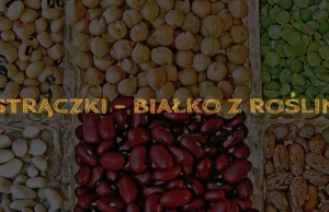 Strączki – białko z roślin