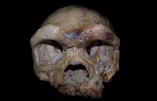 Ancient skull from China may rewrite the origins of our species