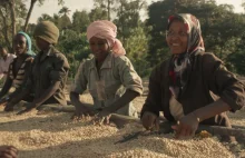Szybka podróż z kawą w tle. Etiopia -> Polska