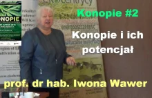 Konopie i ich potencjał – prof. dr hab. Iwona Wawer