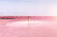 Laguna z naturalnie różową wodą w Meksyku