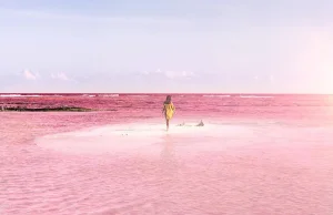 Laguna z naturalnie różową wodą w Meksyku