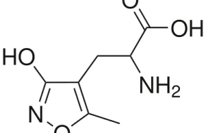 Sunifiram - Ampakina - Okno Percepcji