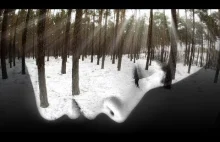 ASMR. Odrealniony, oniryczny spacer po delikatnym śniegu w lesie.