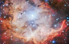 NGC 2467 — trupi klejnot południowego nieba