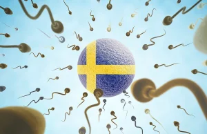 Szwecja coraz bardziej męska dzięki azylantom