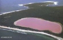 Różowa toń jeziora Hillier