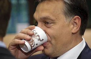 Fitch obniża rating Węgier do poziomu śmieciowego