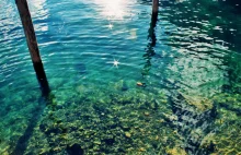 Jezioro Garda – czyste pozornie.