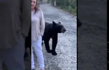 Dziki niedźwiedź dotyka włosów kobiety w Monterrey