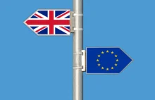 Brexit do kasacji? Masowe poparcie petycji przeciwko wyjściu z UE