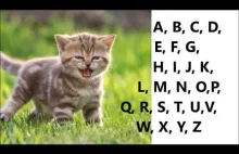 Alfabet po angielsku - Angielski Alfabet ABC...