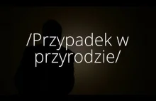 Przypadek - prof. Marek Kuś