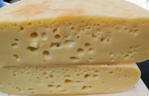 Żółty ser typu szwajcarskiego z dziurami - domowy przepis