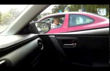 Girl driving with two chihuahua on board Crazy LOL :D