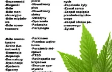 Medyczna marihuana w polsce? Rusza projekt