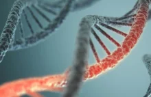 Scientists Discover 238 Genes That Could Significantly Extend Human...