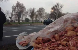 Tir wypadł z drogi w Świebodzinie z mięsem. Ludzie kupowali stare i brudne mięso