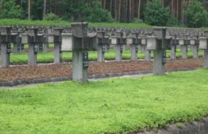 Palmiry: kampinoska polana śmierci (fotoreportaż)