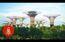 Niezwykły gaj sztucznych drzew stworzonych przez Singapur