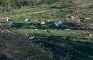 Poznań: Międzynarodowe Targi Poznańskie posprzątały świat. Ale śmieci...