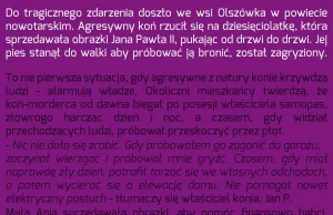 Koń zagryzł psa i o mało nie zabił dziesięciolatki