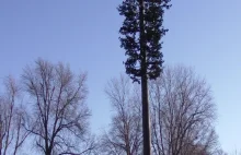 Wieża telekomunikacyjna wyglądająca jak drzewo