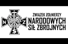 Narodowe Siły Zbrojne - Leszek Żebrowski