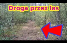 #leśne igraszki | Przygotowanie drogi do lasu | Zaznaczone...