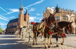 Bogactwo kultury - Polska oczami Chińczyka