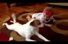 Pies uczy dziecko raczkować.