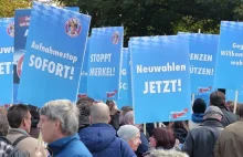 Niemcy: rekordowe poparcie dla antyislamskiej AfD.