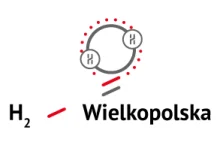 Drogie Mirki i Mirabelki - potrzebny wykop efekt! (konkurs na logo)