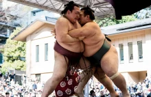 29 zawodników sumo w raczej małym samolocie [foto]