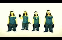 Despicable Me 2 Trailer polski remix