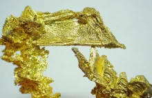 Do czego geologom przydaje się złoto?