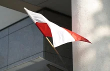 Polskie firmy, z których możemy być dumni w Święto Niepodległości