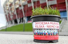 Chcesz trawę ze Stadionu Narodowego z meczu Polska- Niemcy? Rozdają w doniczkach